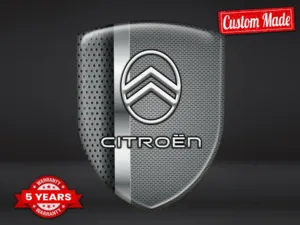 Citroen Vinilos Traseros Autos Profesionales Diseño Pro
